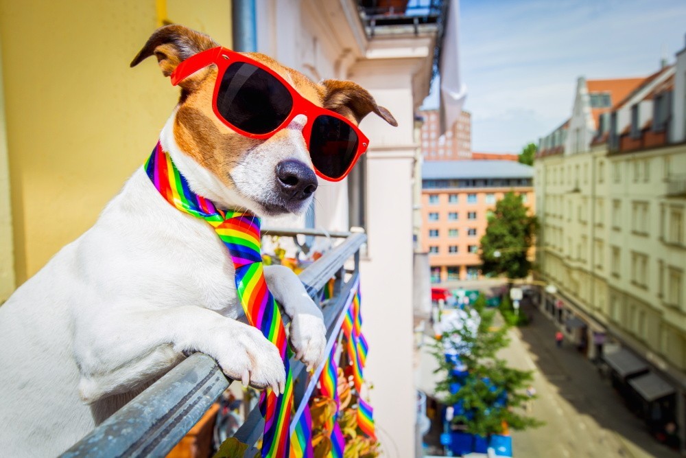 Víta vás nový Gaymegastore Víta vás nový Gaymegastore